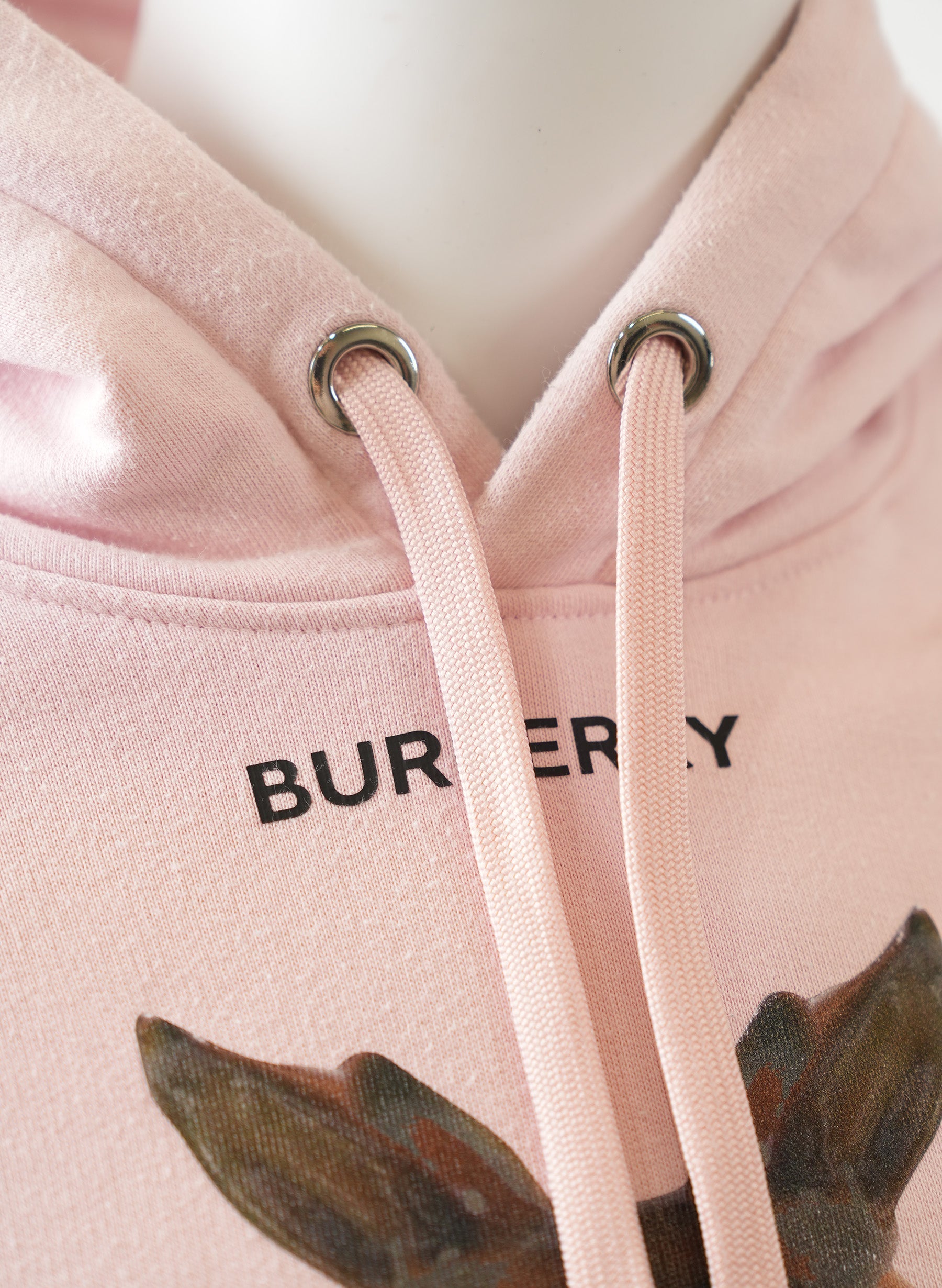 Burberry Eversham Graphic Print Hooded Sweater