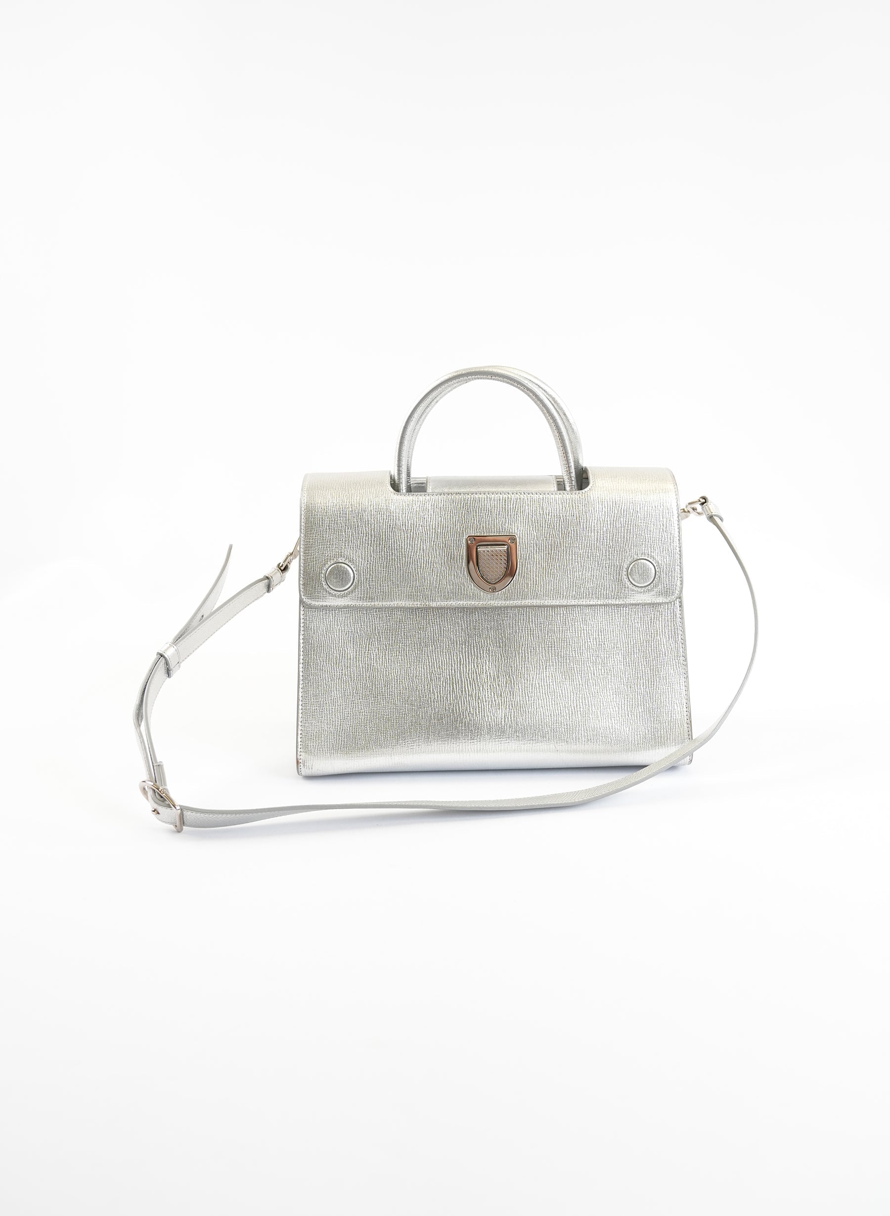 Christian Dior Metallic Diorever Bag